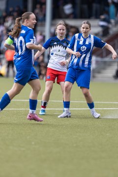 Bild 143 - wBJ Hamburger SV - FC Suederelbe : Ergebnis: 9:0